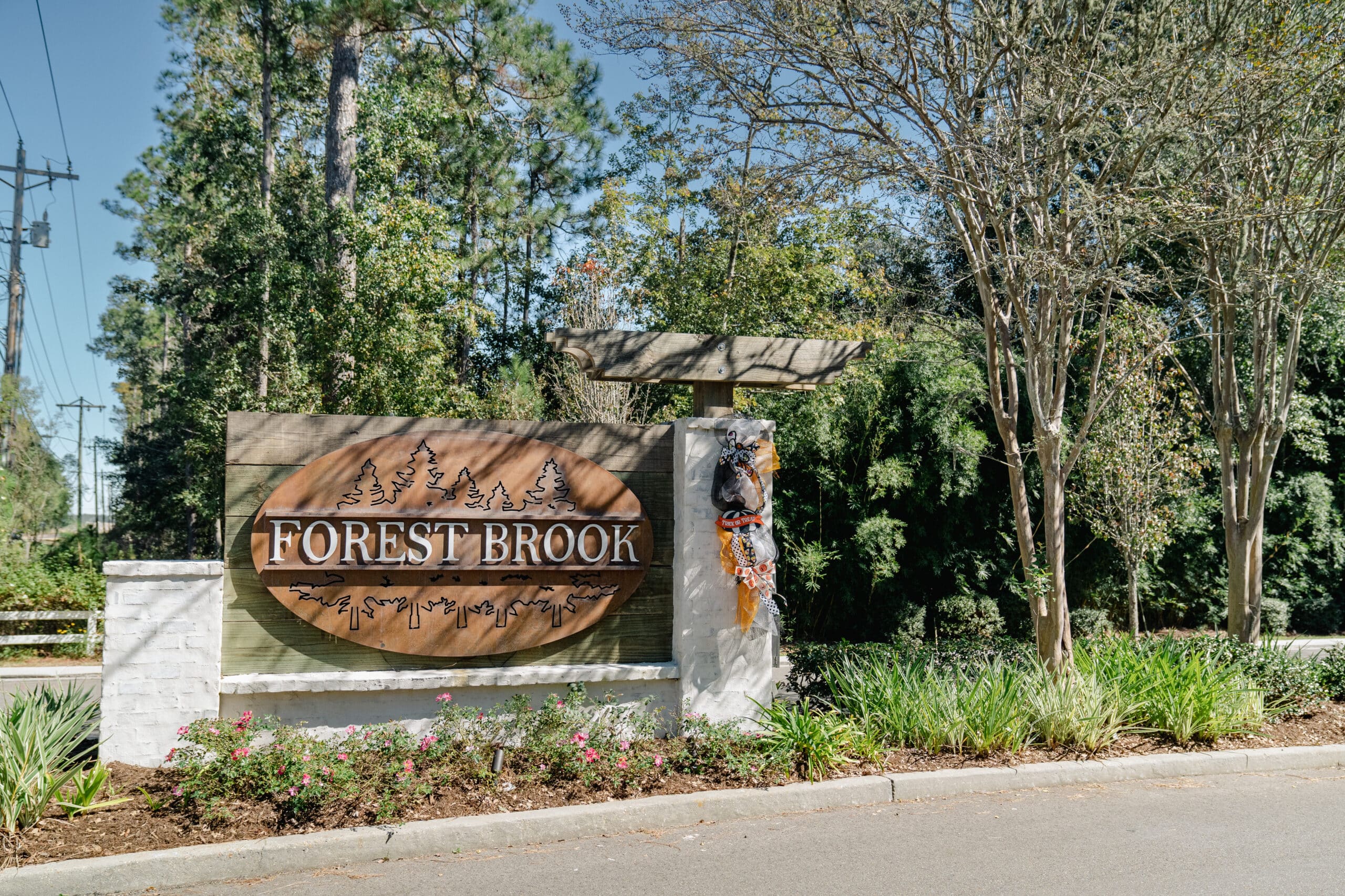 forest brook subdivision Forest Brook neighboorhood