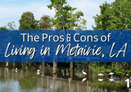 Footbridge at Lafreniere Park in Metairie, LA